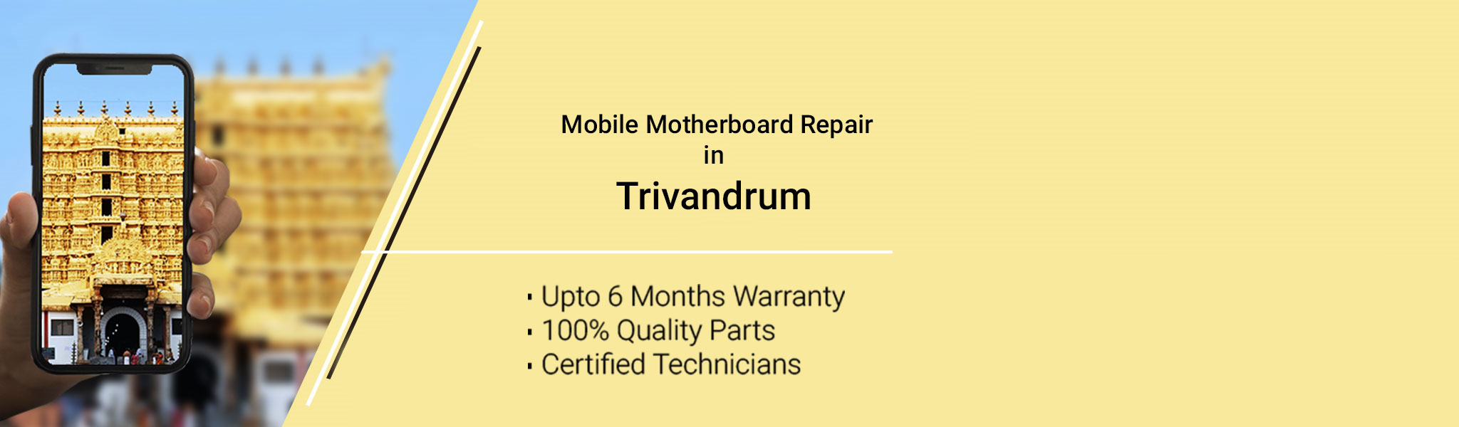 Trivandrum_motherboard.jpg